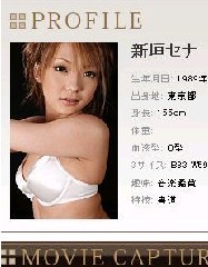 淫yo士的工作－新垣